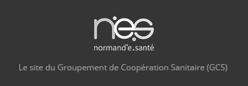 Le site du GCS Normand'e-santé