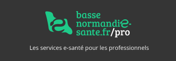 Les services e-santé pour les professionnels